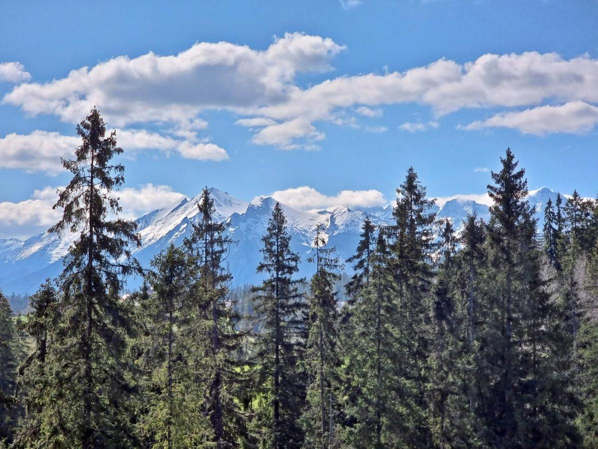 Willabukovinka - Bliskosc Lasu, Wyciagow I Term, Atrakcje Dla Dzieci, Znizki Na Wyciagi, Termy, Karczmy I Atrakcje Bukowina Tatrzańska Esterno foto
