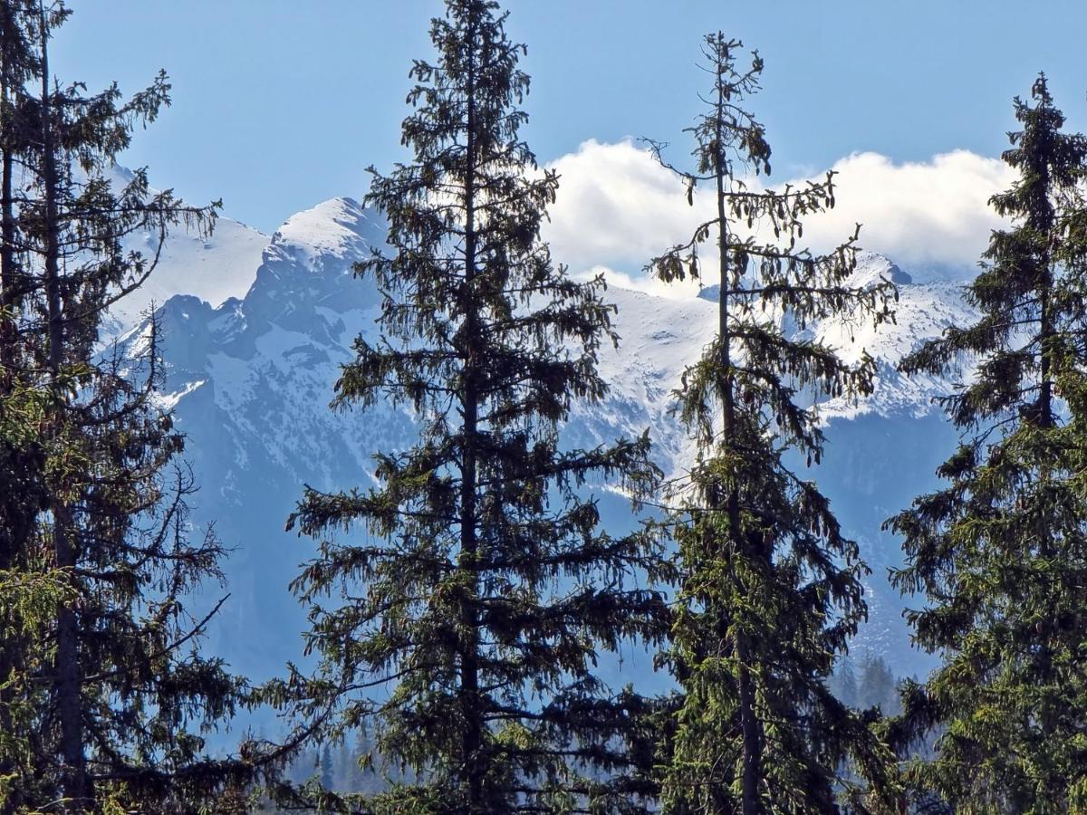 Willabukovinka - Bliskosc Lasu, Wyciagow I Term, Atrakcje Dla Dzieci, Znizki Na Wyciagi, Termy, Karczmy I Atrakcje Bukowina Tatrzańska Esterno foto