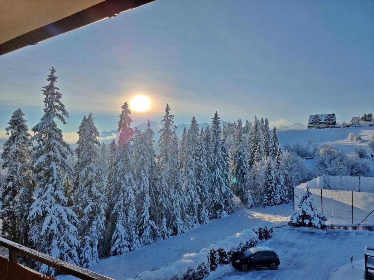 Willabukovinka - Bliskosc Lasu, Wyciagow I Term, Atrakcje Dla Dzieci, Znizki Na Wyciagi, Termy, Karczmy I Atrakcje Bukowina Tatrzańska Esterno foto