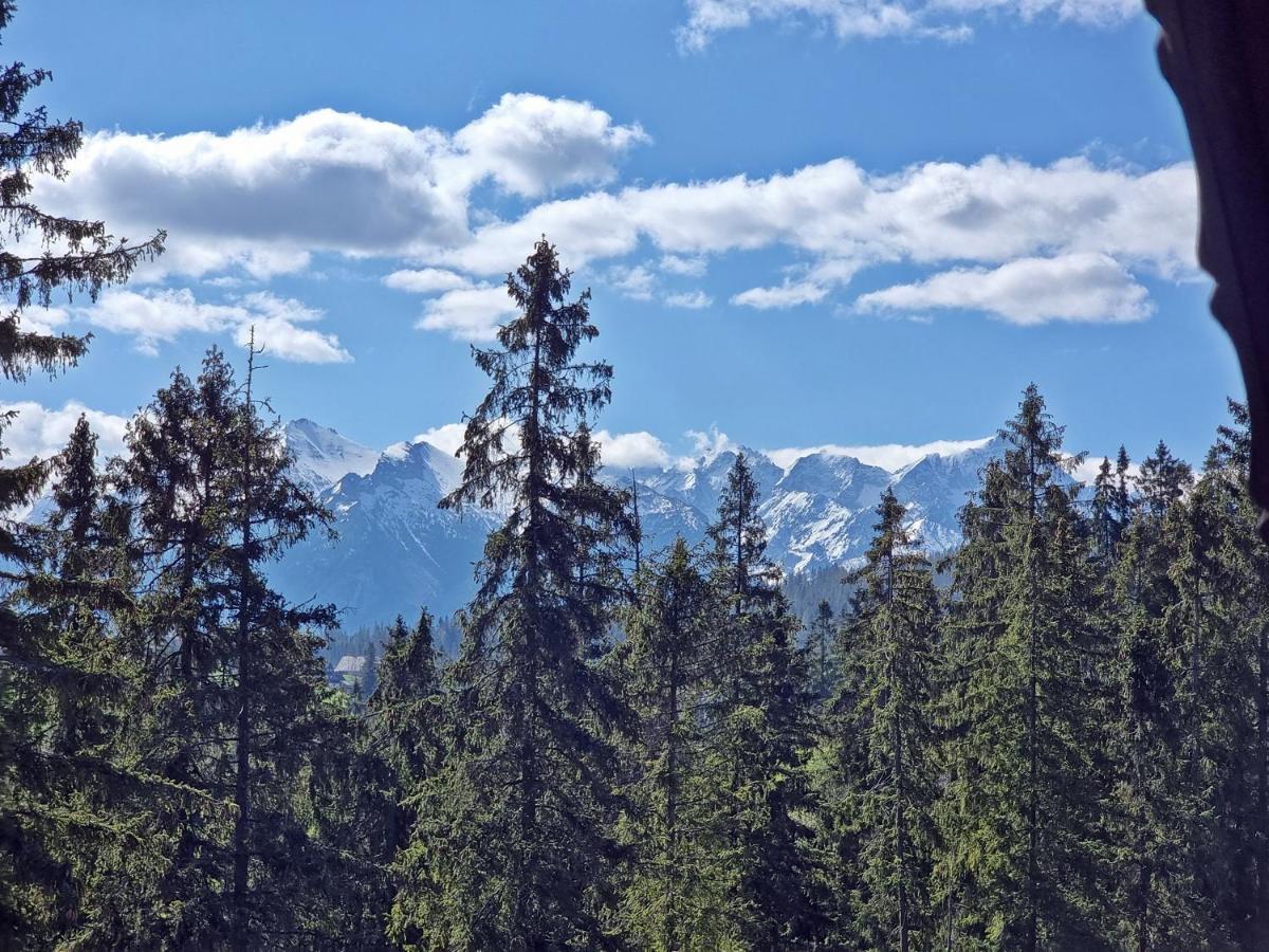 Willabukovinka - Bliskosc Lasu, Wyciagow I Term, Atrakcje Dla Dzieci, Znizki Na Wyciagi, Termy, Karczmy I Atrakcje Bukowina Tatrzańska Esterno foto