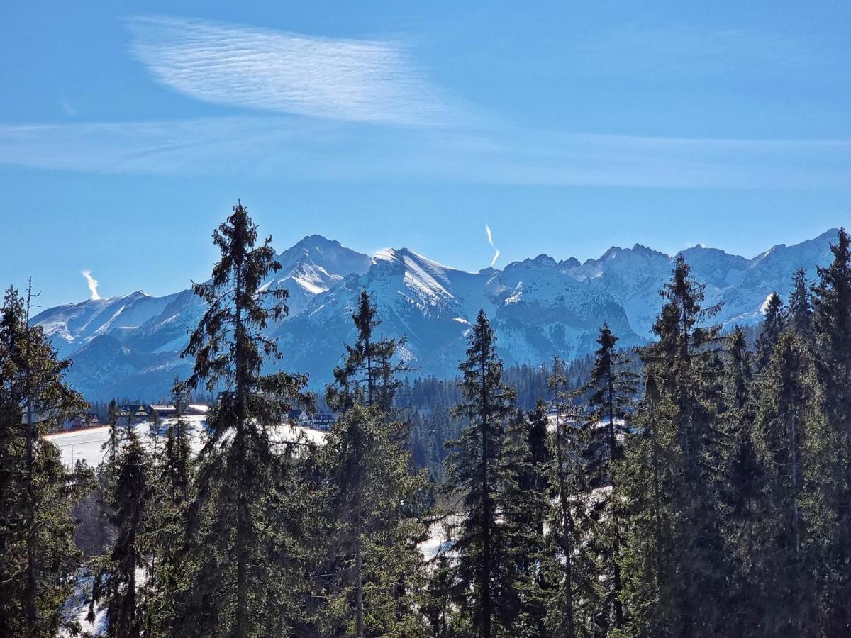 Willabukovinka - Bliskosc Lasu, Wyciagow I Term, Atrakcje Dla Dzieci, Znizki Na Wyciagi, Termy, Karczmy I Atrakcje Bukowina Tatrzańska Esterno foto
