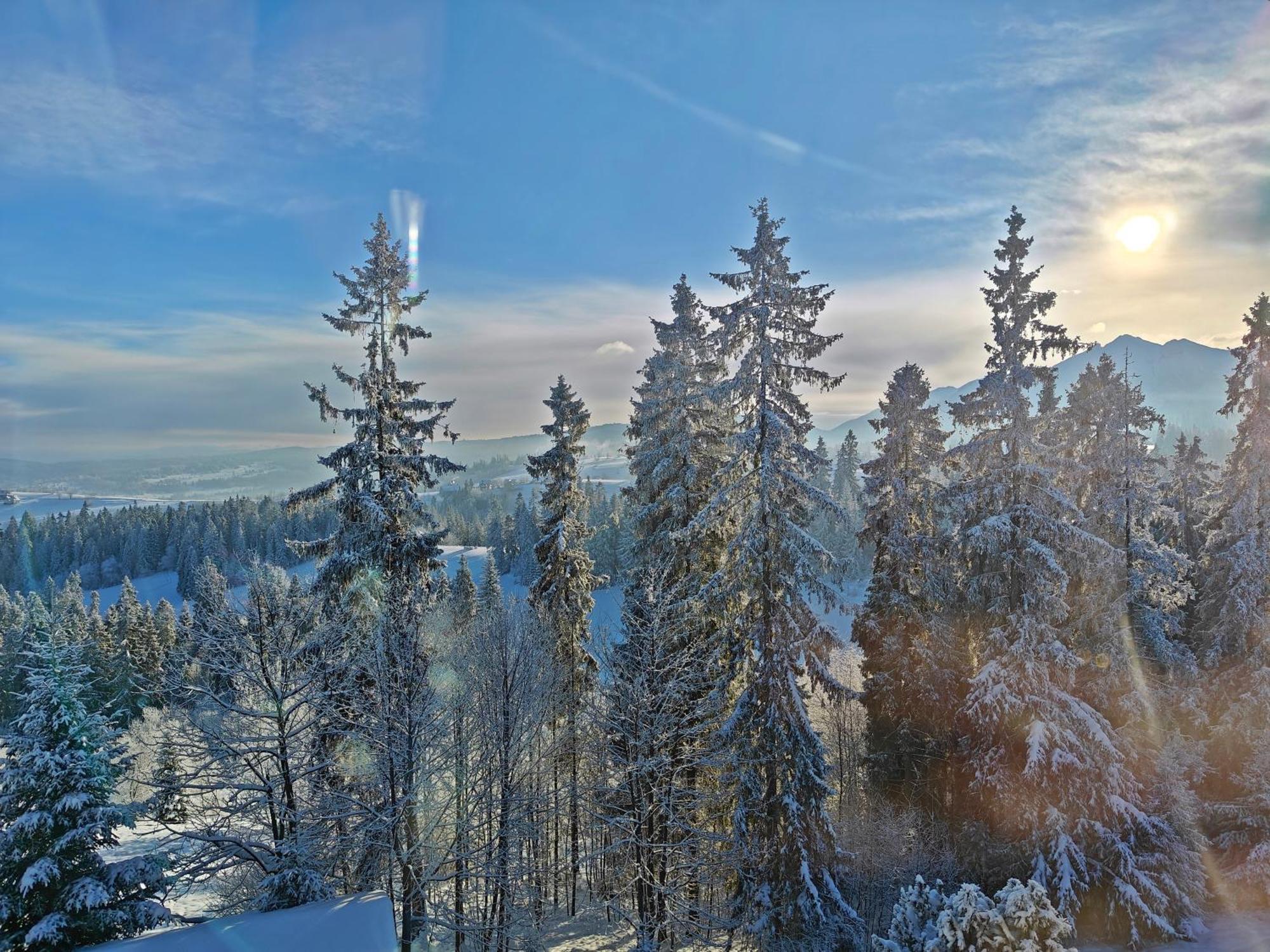 Willabukovinka - Bliskosc Lasu, Wyciagow I Term, Atrakcje Dla Dzieci, Znizki Na Wyciagi, Termy, Karczmy I Atrakcje Bukowina Tatrzańska Esterno foto